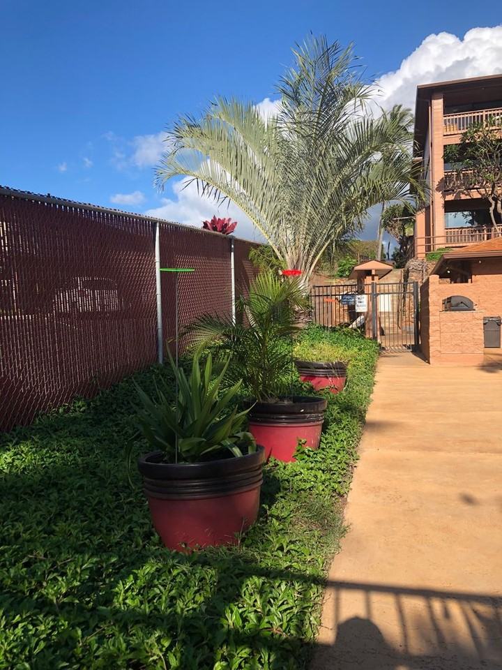 3740 Lower Honoapiilani Rd - Photo 3 of 5