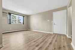 6 Venice Street #6B - Photo 4 of 16