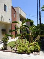 featured image of 323 San Pascual Ave