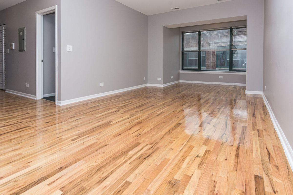 6133 S Indiana Ave - Photo 4 of 17