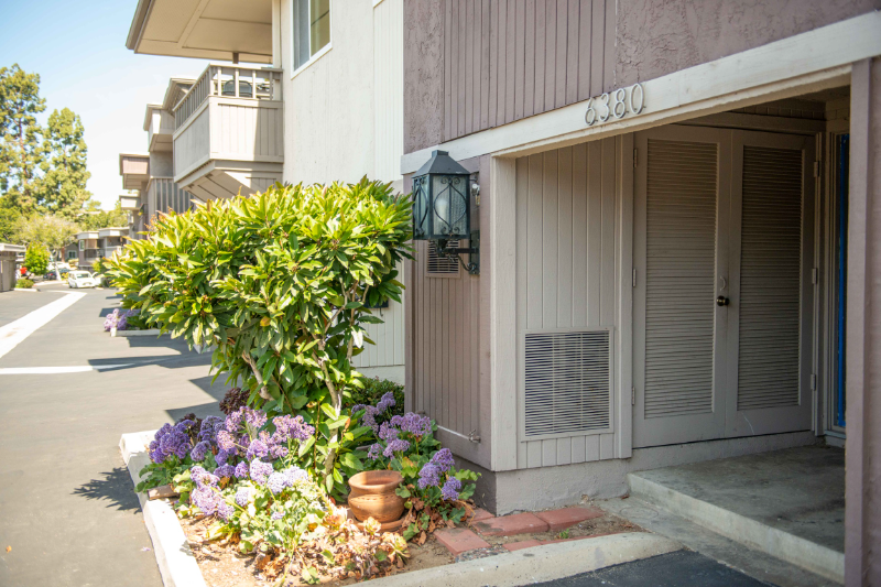 6380 Caminito Telmo - Photo 6 of 24