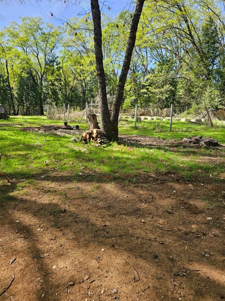 11321 Beauview Rd #3 - Photo 6 of 7