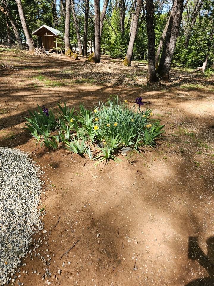 11321 Beauview Rd #3 - Photo 7 of 7