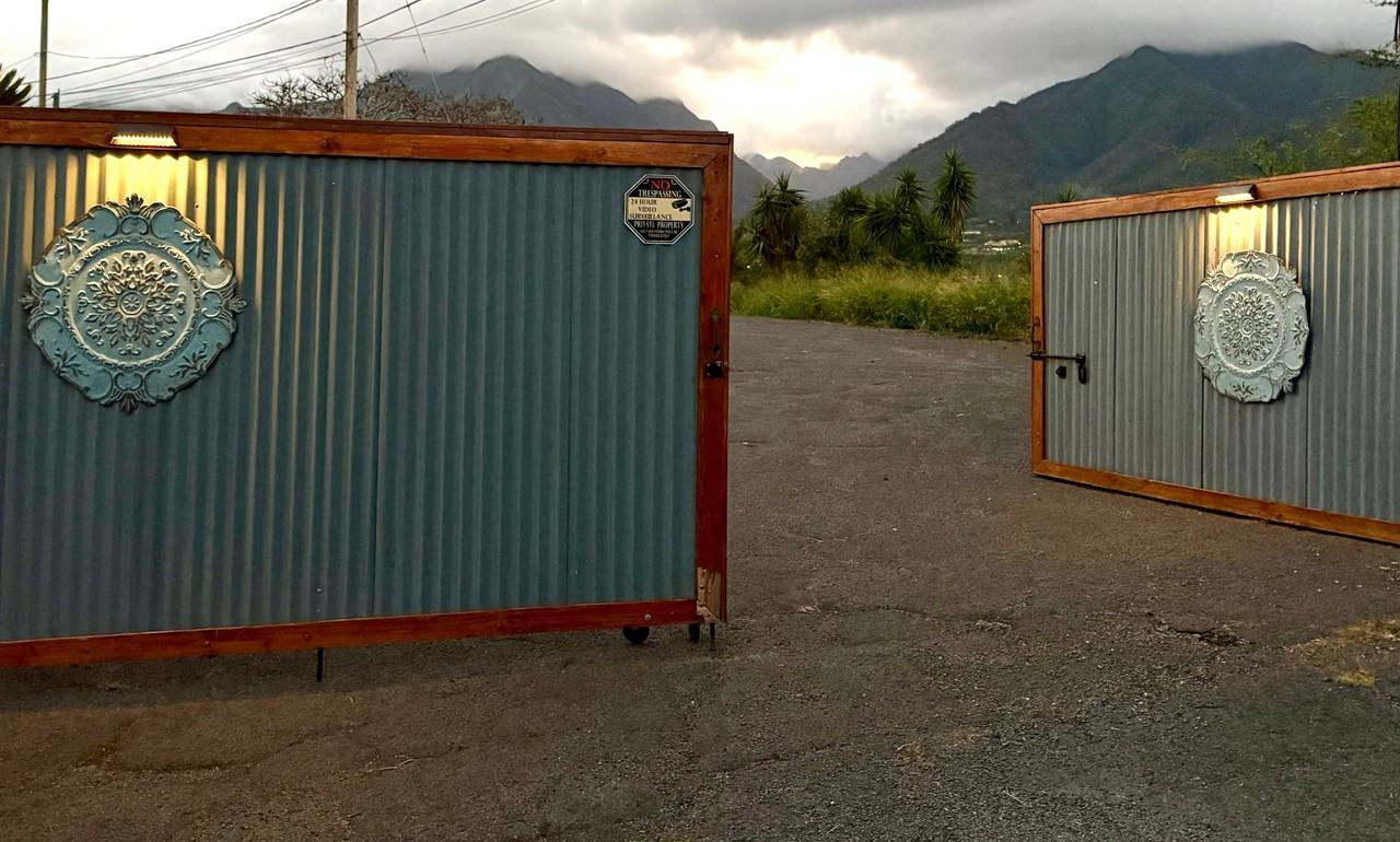 295 Liholiho St - Photo 3 of 20