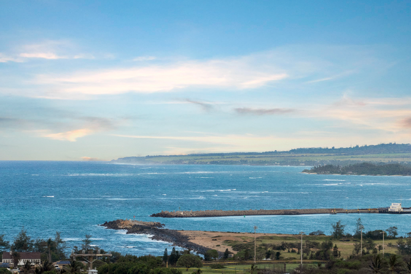 295 Liholiho St - Photo 5 of 20