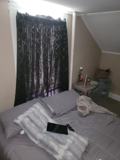 232 Elm St #4 - Photo 1 of 1