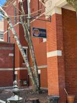 37 Kirk St #31-1 - Photo 1 of 1