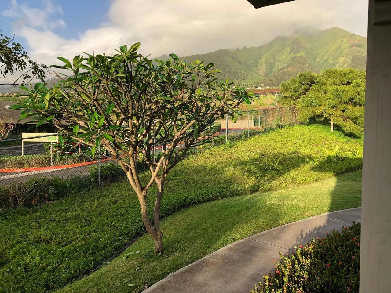 125 Hoowaiwai Loop #1904 - Photo 6 of 19