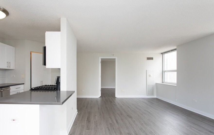 601 N Wabash Ave - Photo 3 of 19