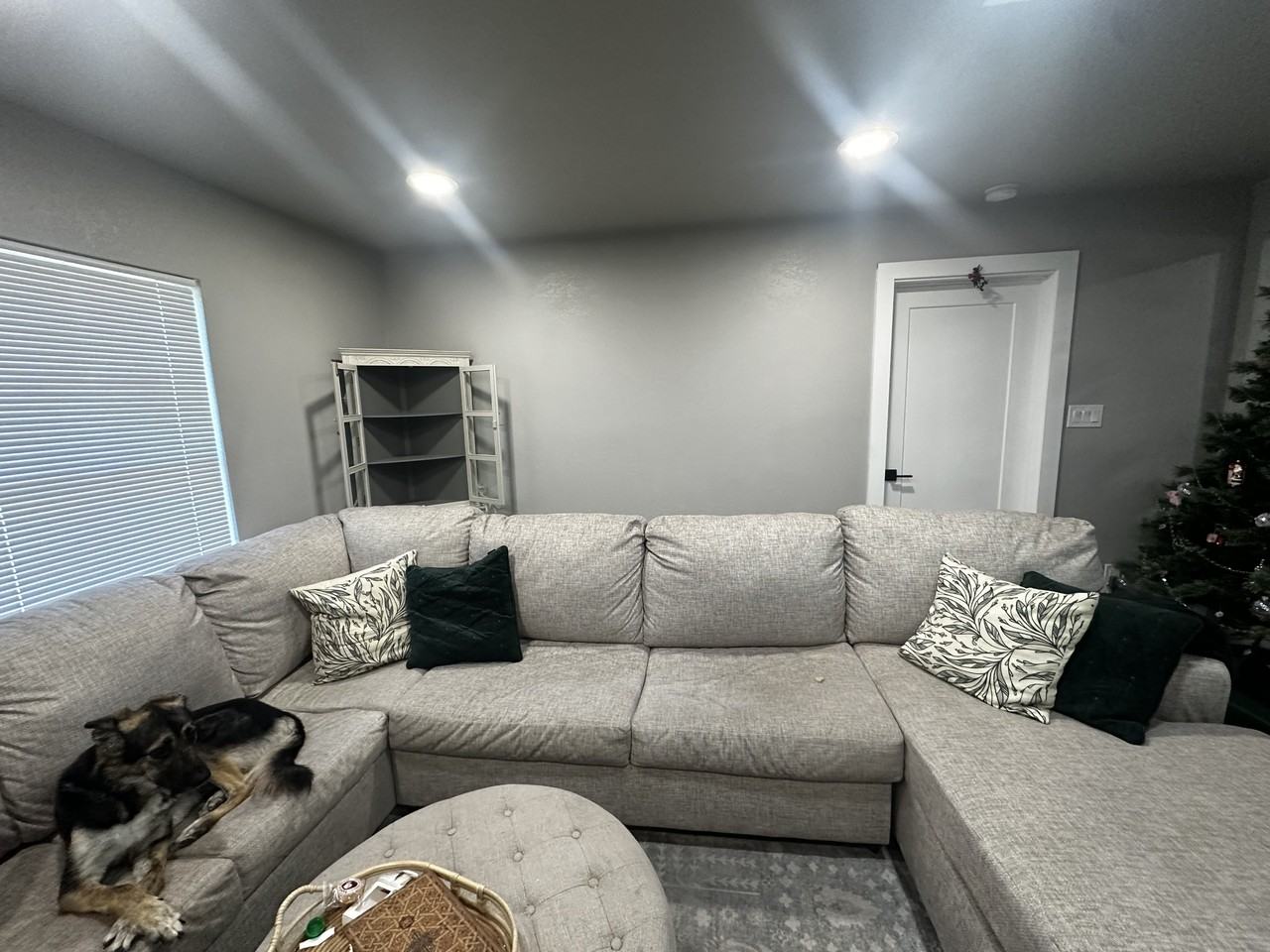 2925 N Travis St #NA - Photo 3 of 8