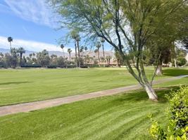 featured image of 255 San Remo St
