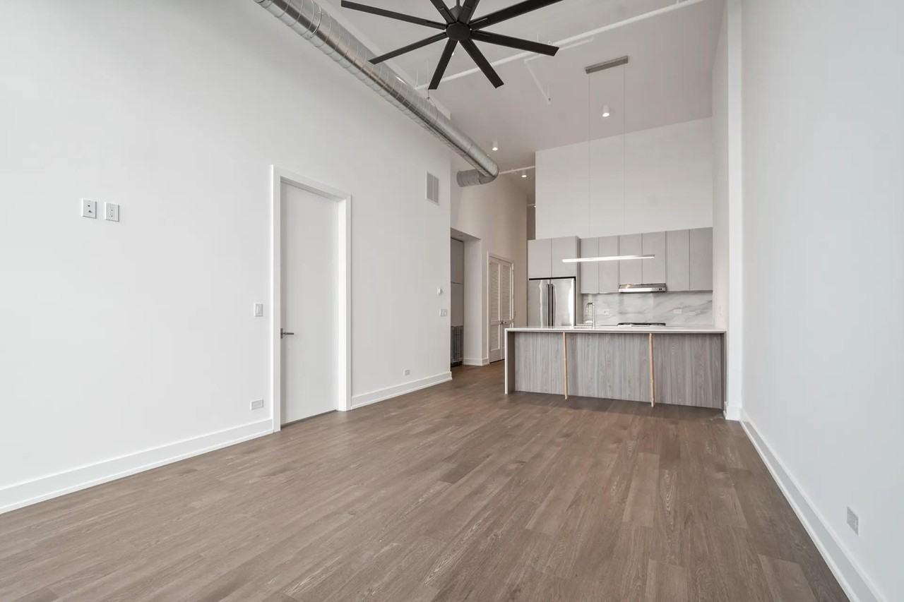 728 Waukegan Rd #206 - Photo 4 of 19