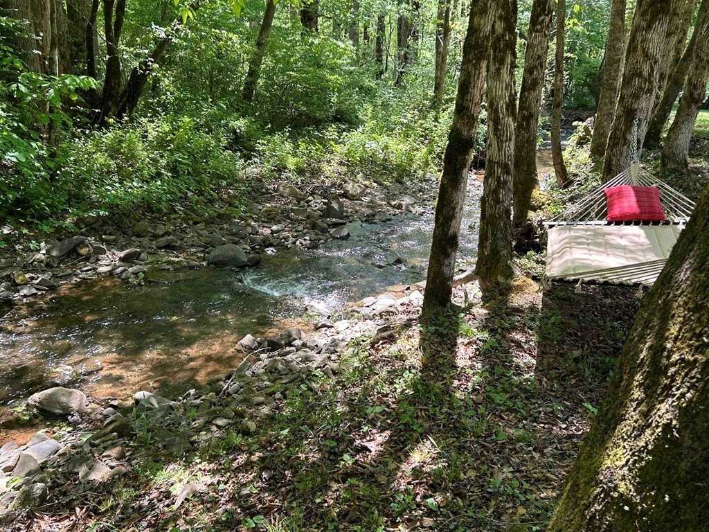 113 Logan Creek Ln - Photo 3 of 15