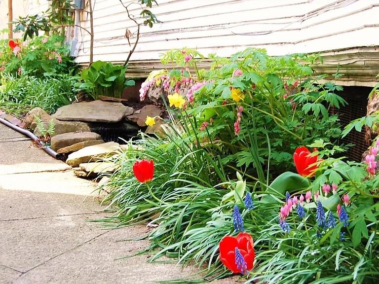 485 Elmwood Avenue #5 - Photo 7 of 10