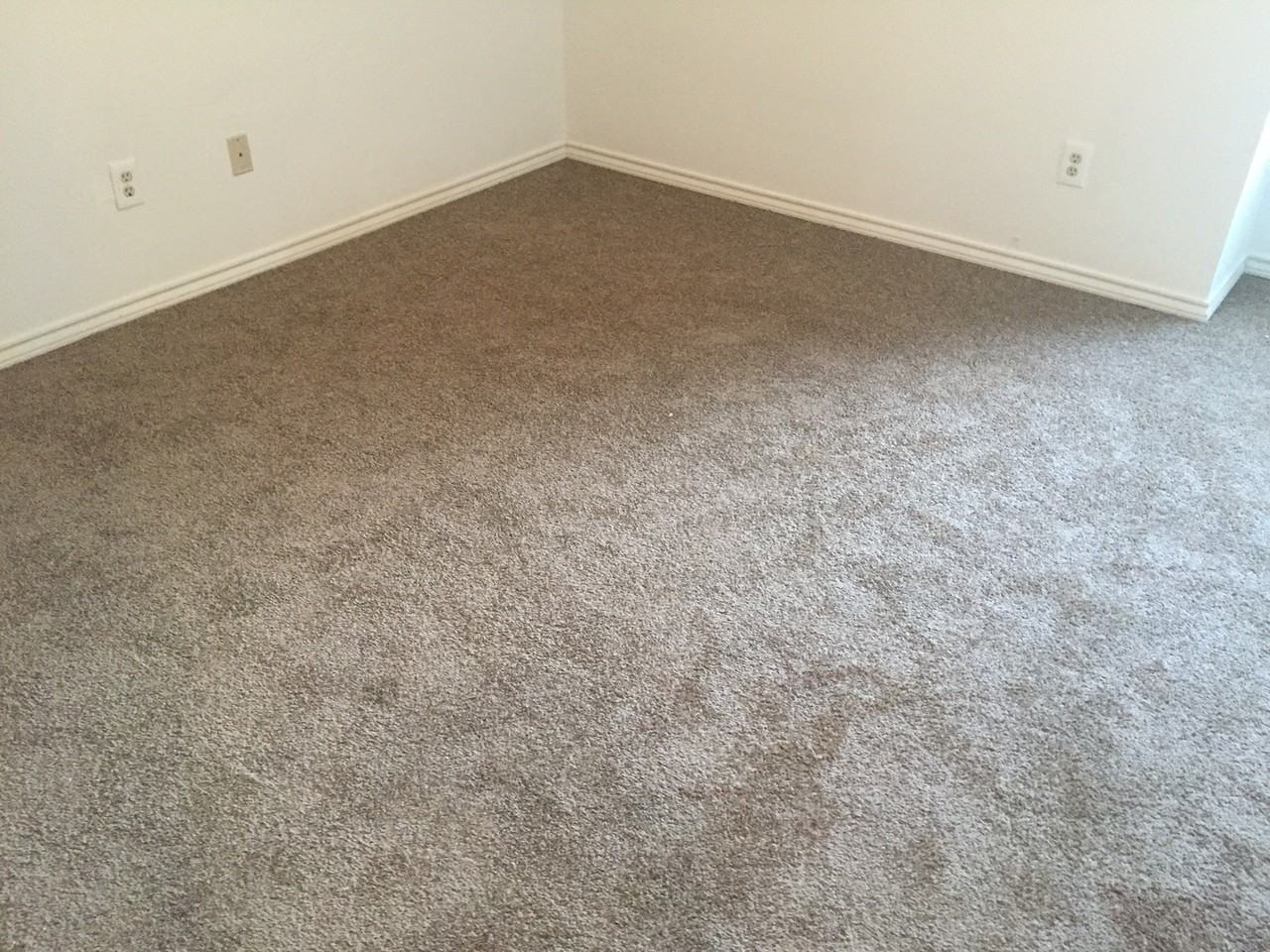 311 Bryant Ln - Photo 3 of 29