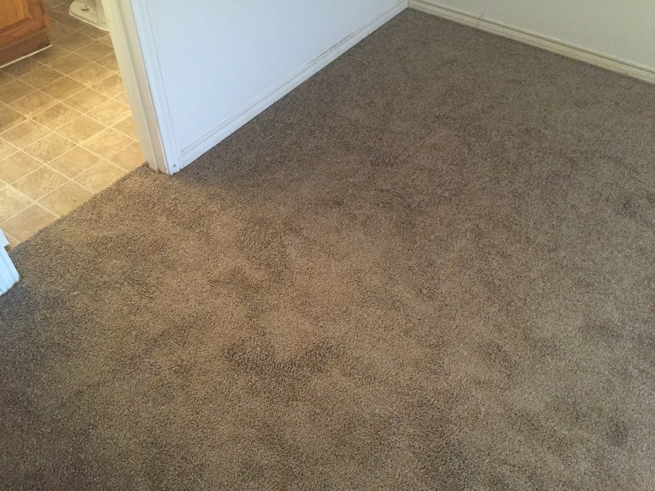 311 Bryant Ln - Photo 5 of 29