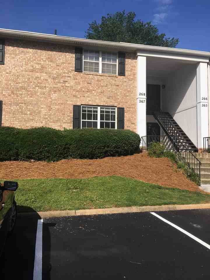 925 Cleveland St #267