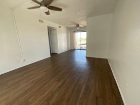 Desert Diamond - Photo 1 of 1