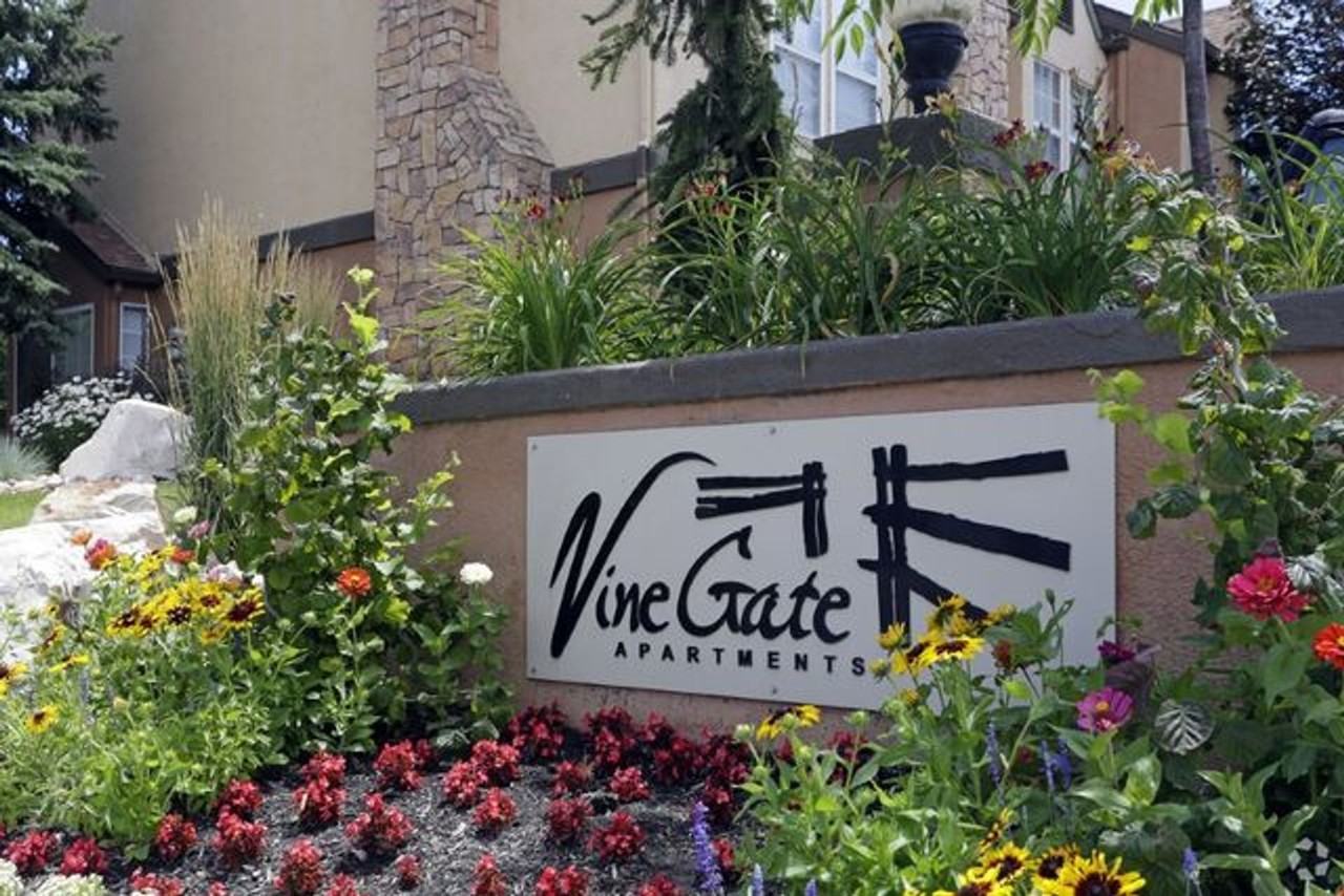 Vine Gate Apartments & Townhomes - Photo 6 of 37