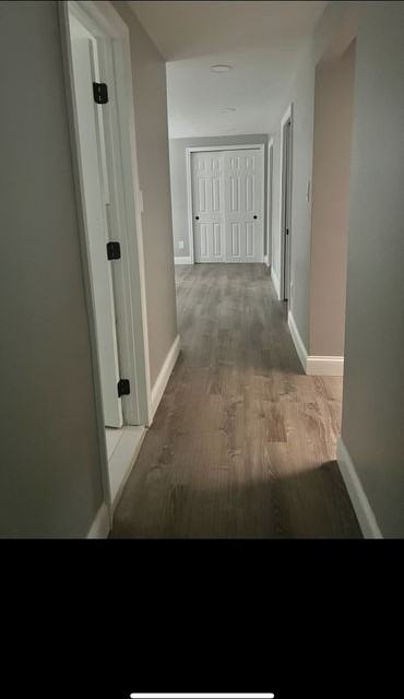 2416 Motor Pkwy ##1 - Photo 4 of 5