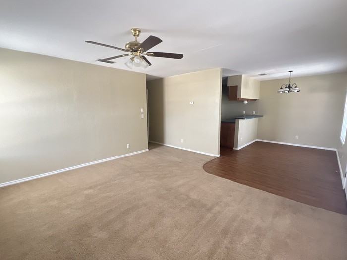 3936 Bourbon St #6 - Photo 5 of 10
