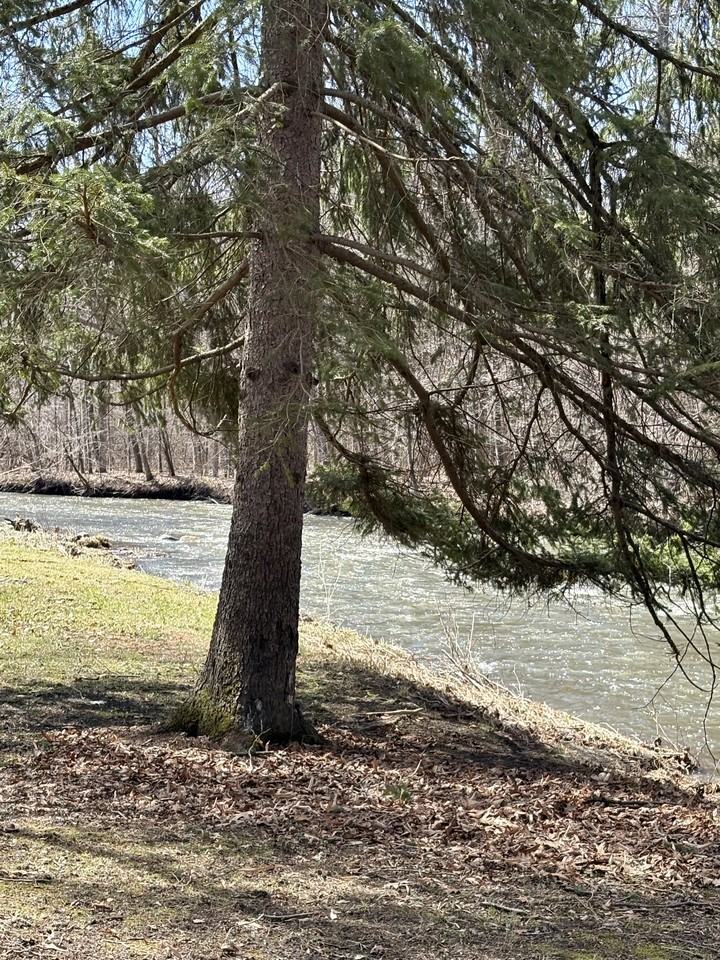 41 Rustic Bridge Rd #NA - Photo 6 of 23