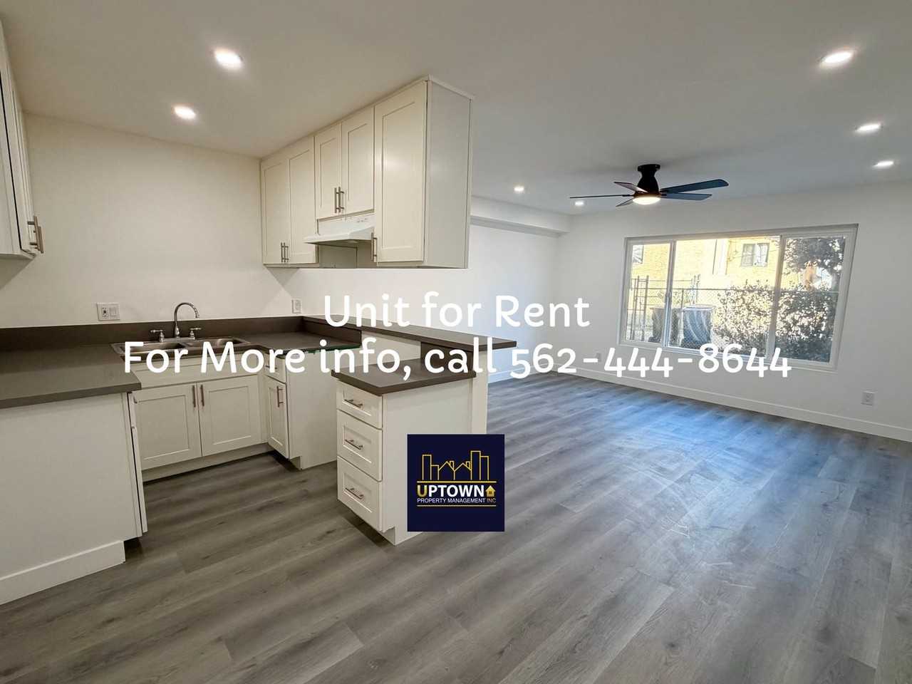 Breed - Photo 2 of 26