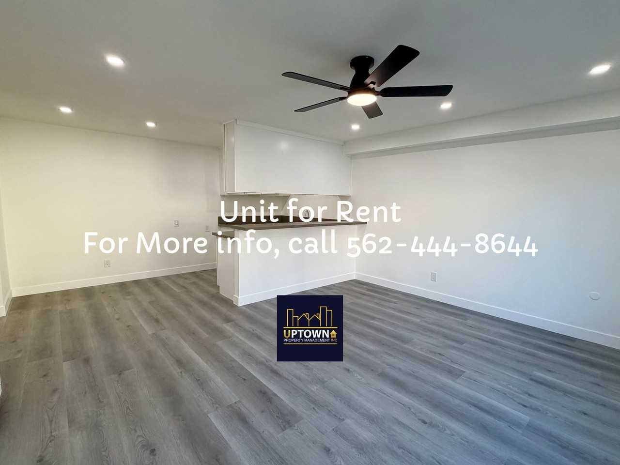 Breed - Photo 3 of 26