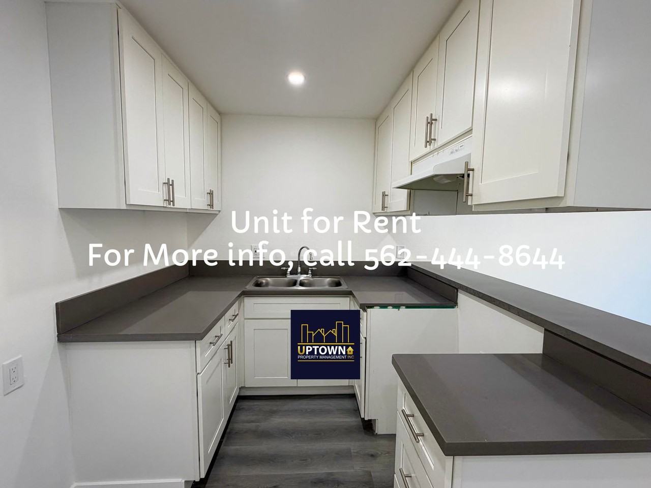 Breed - Photo 4 of 26