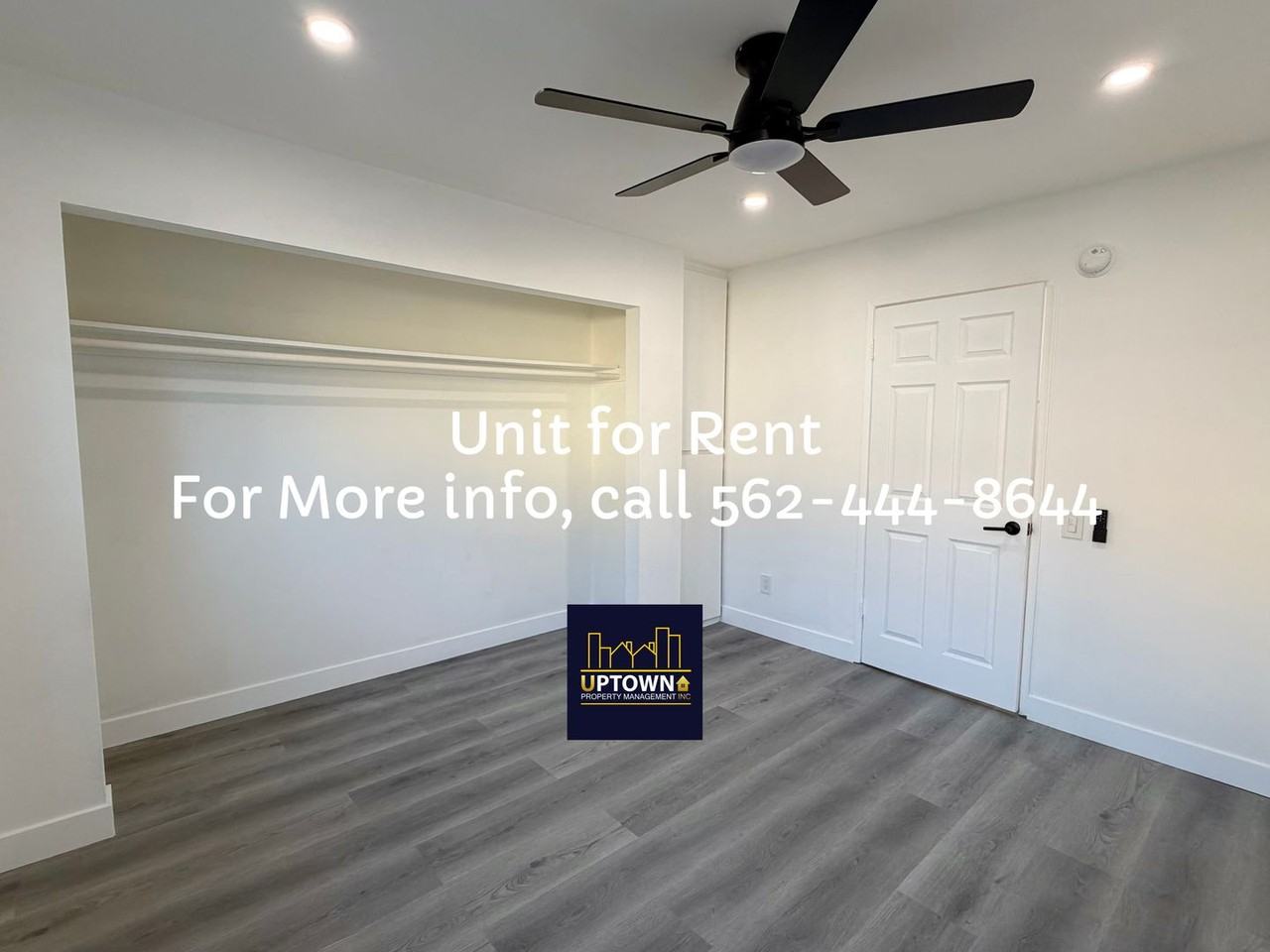 Breed - Photo 5 of 26