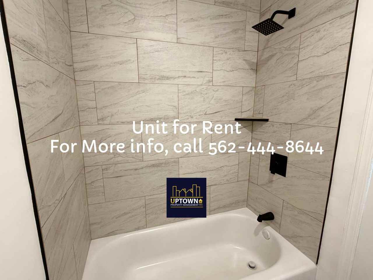 Breed - Photo 6 of 26