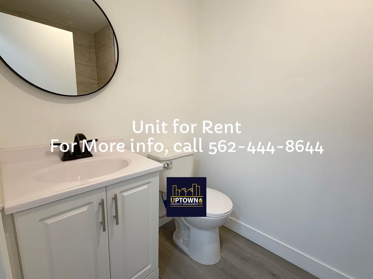 Breed - Photo 7 of 26