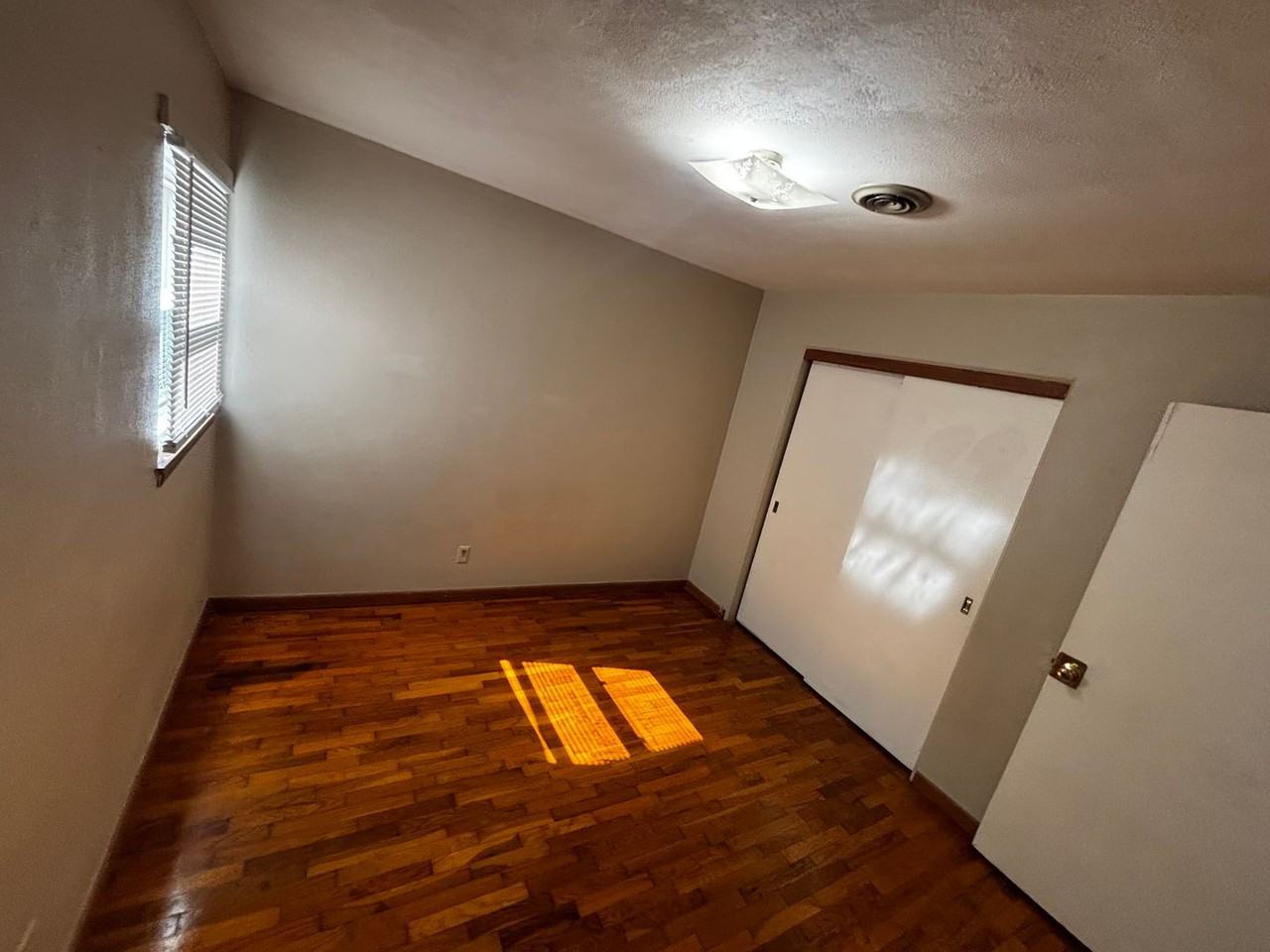 40Plex - Photo 5 of 6