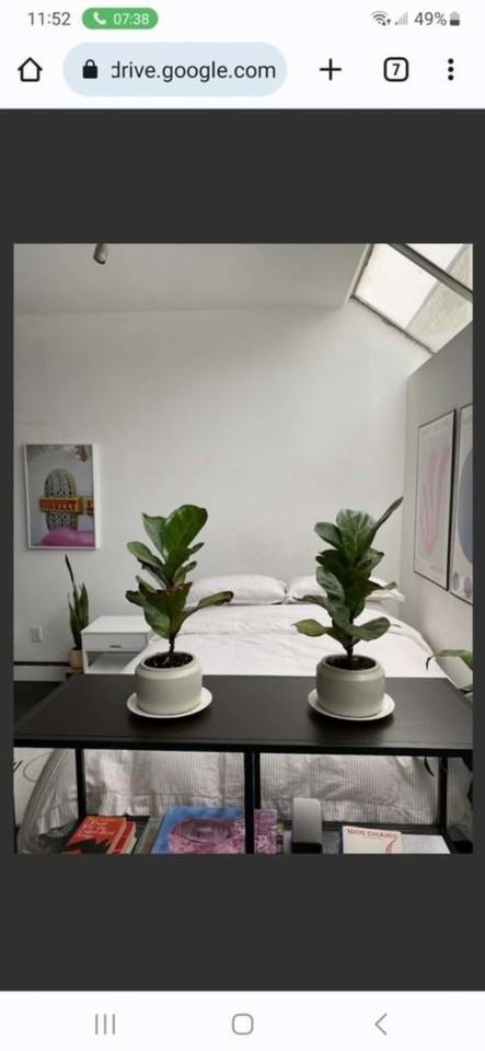 455 Saint Clarens Avenue #3 - Photo 5 of 12