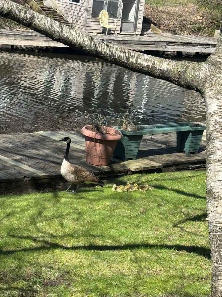 600 Pirate Island Rd - Photo 2 of 3