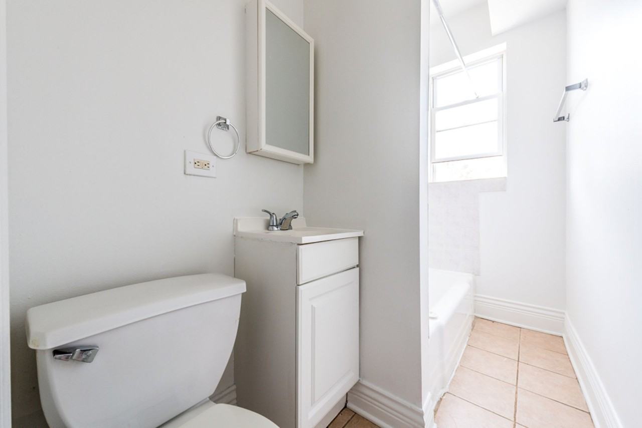 11250-56 S Indiana Ave Chicago, IL 60628 - Photo 3 of 29