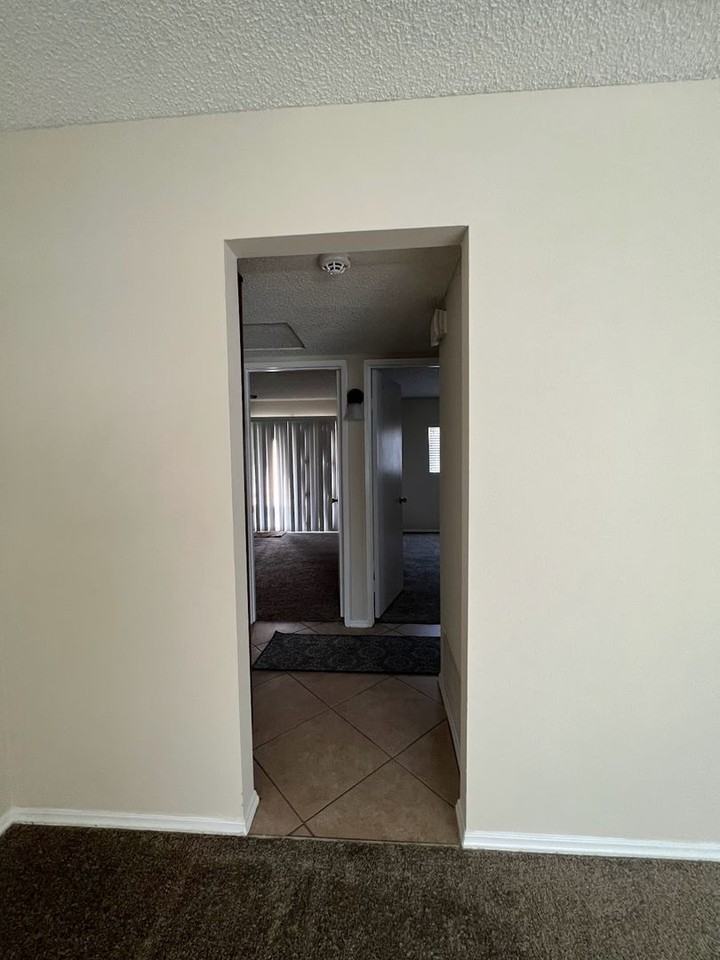 341 Calle Nogales - Photo 5 of 12