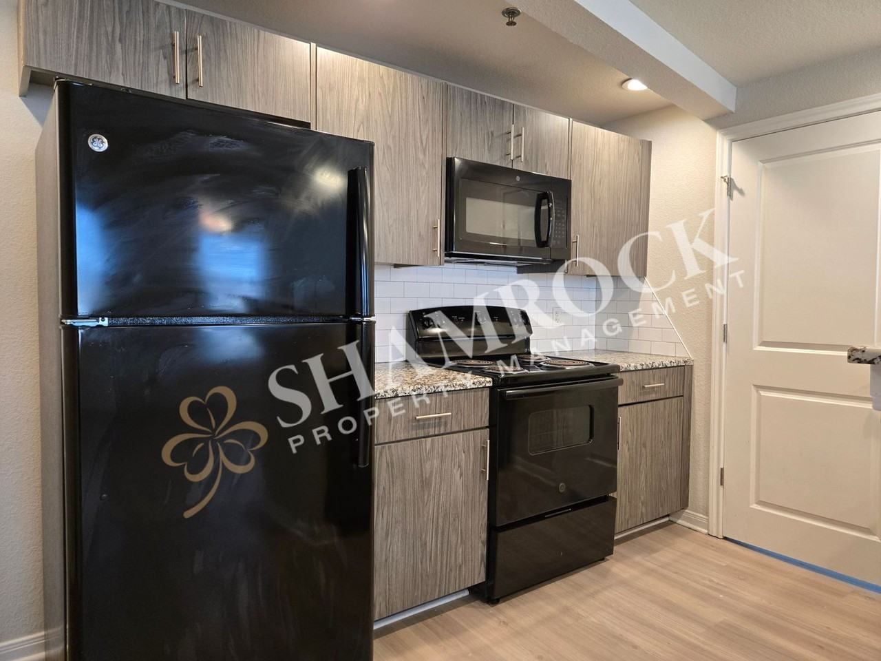 1307 Austin Ave #305 - Photo 3 of 11