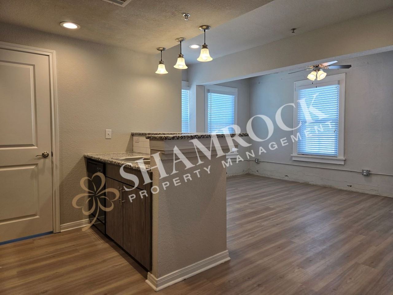 1307 Austin Ave #305 - Photo 4 of 11