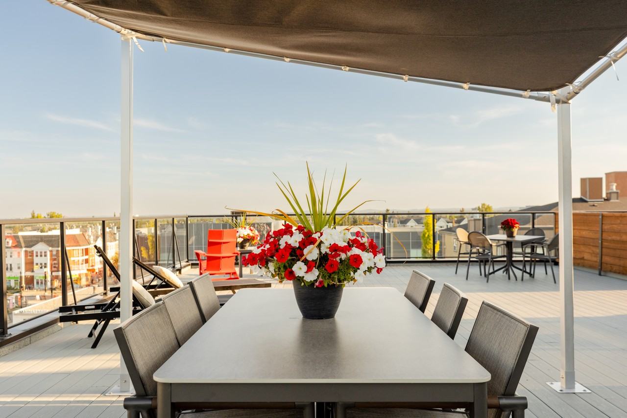 Lyfe Apartments - Photo 6 of 23