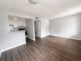 Spacious Remodeled 1BR/1BA  Apartment with Beautiful New LVT Flooring - Photo 1 of 1