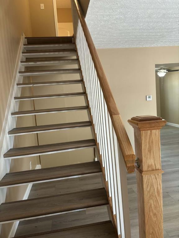 301 Halia Crst - Photo 5 of 9