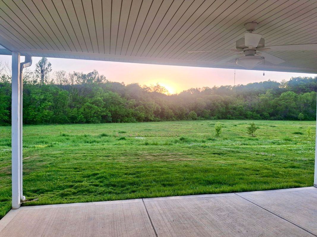 728 Snowflower Cir - Photo 2 of 20