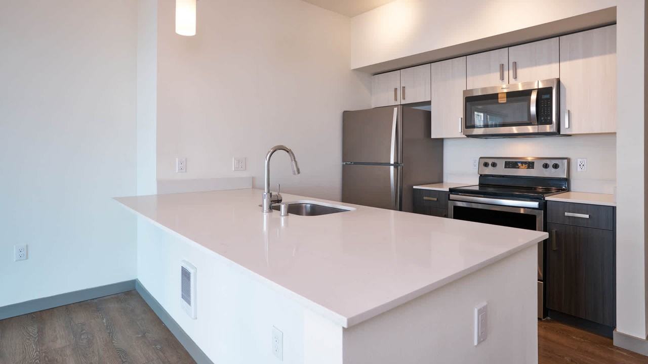 Lane - Photo 6 of 50