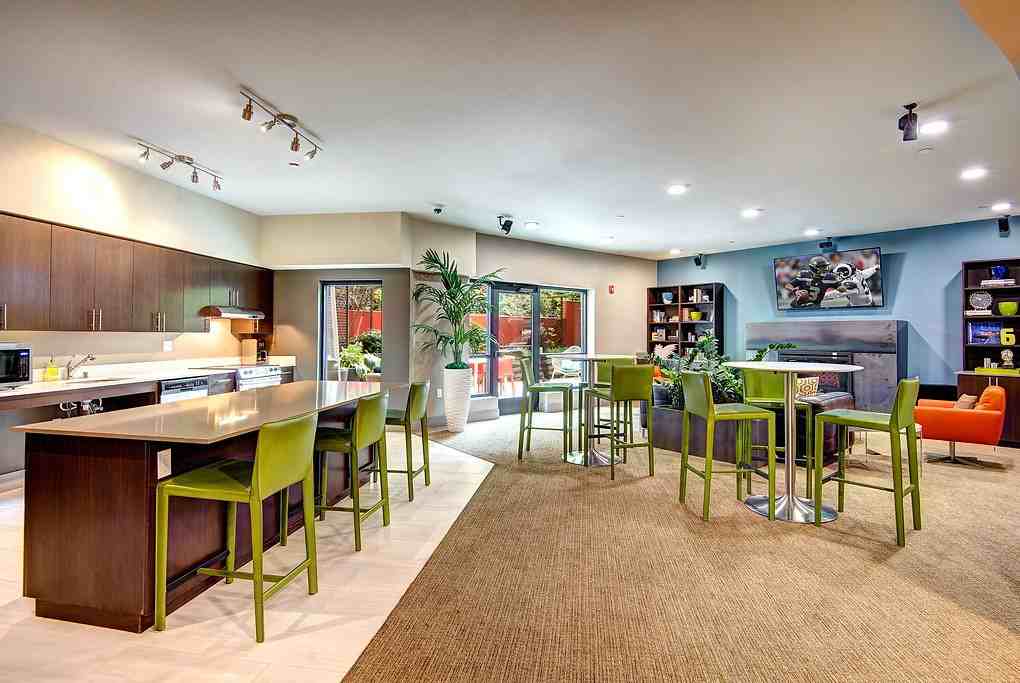 Canvas - Photo 2 of 46