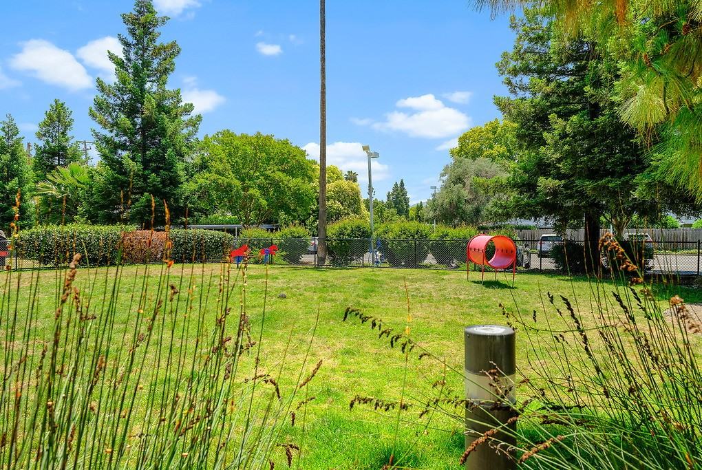 The Parc at Pruneyard - Photo 6 of 40