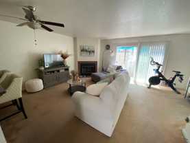 Reynard - Photo 1 of 1