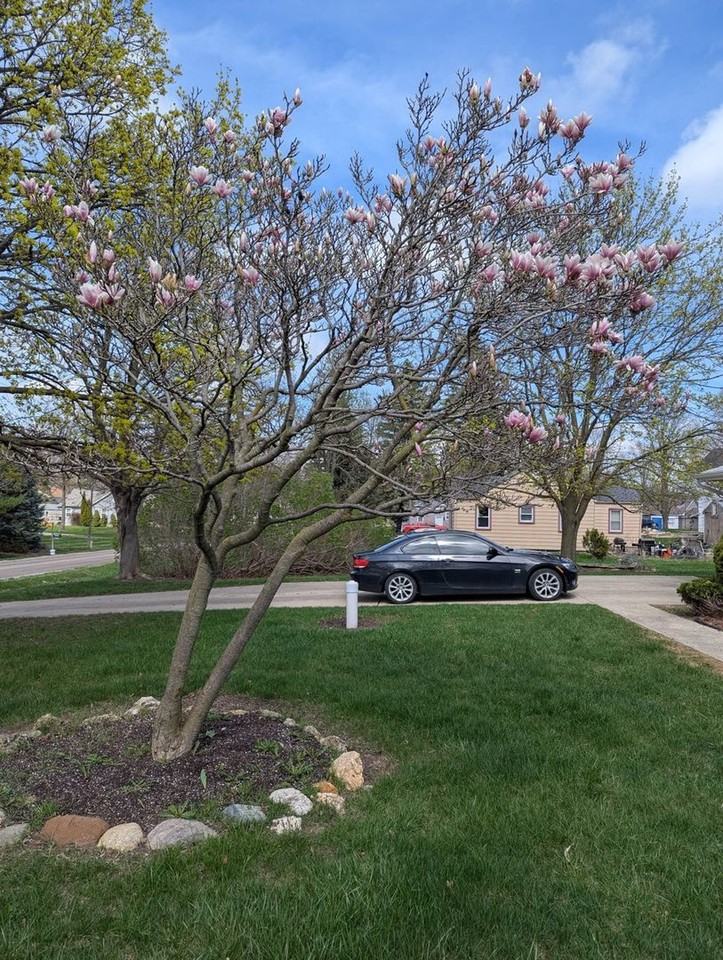 3292 Frederick St - Photo 2 of 24