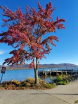 119 Montgomery St #1 - Photo 1 of 1