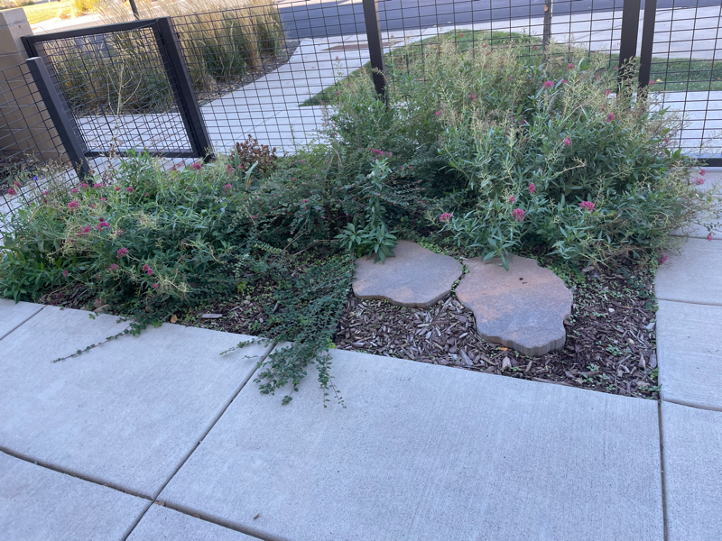 225 Green Leaf St #4 - Photo 2 of 24